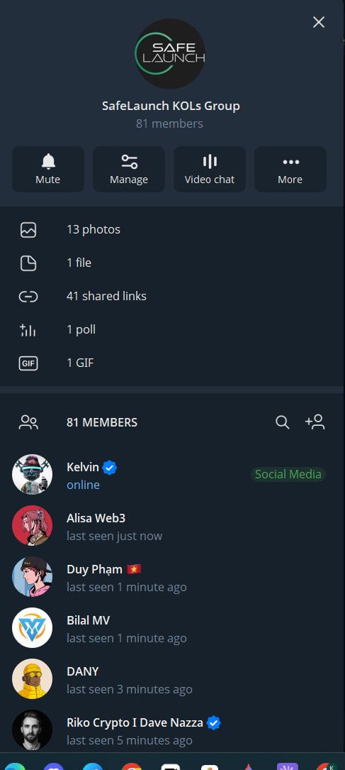 SafeLaunch KOLs Group (81-member group screenshot)